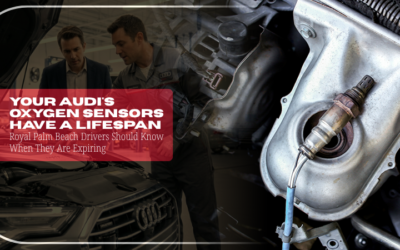 Your Audi’s Oxygen Sensors Have a Lifespan — Royal Palm Beach Drivers Should Know When They Are Expiring
