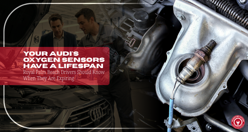 Your Audi's Oxygen Sensors Have a Lifespan — Royal Palm Beach Drivers Should Know When They Are Expiring