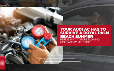 Your Audi A/C Has to Survive a Royal Palm Beach Summer – Here Is Why It Stops Blowing Cold and What to Do