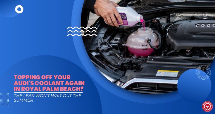 Topping Off Your Audi's Coolant Again in Royal Palm Beach The Leak Won't Wait Out the Summer